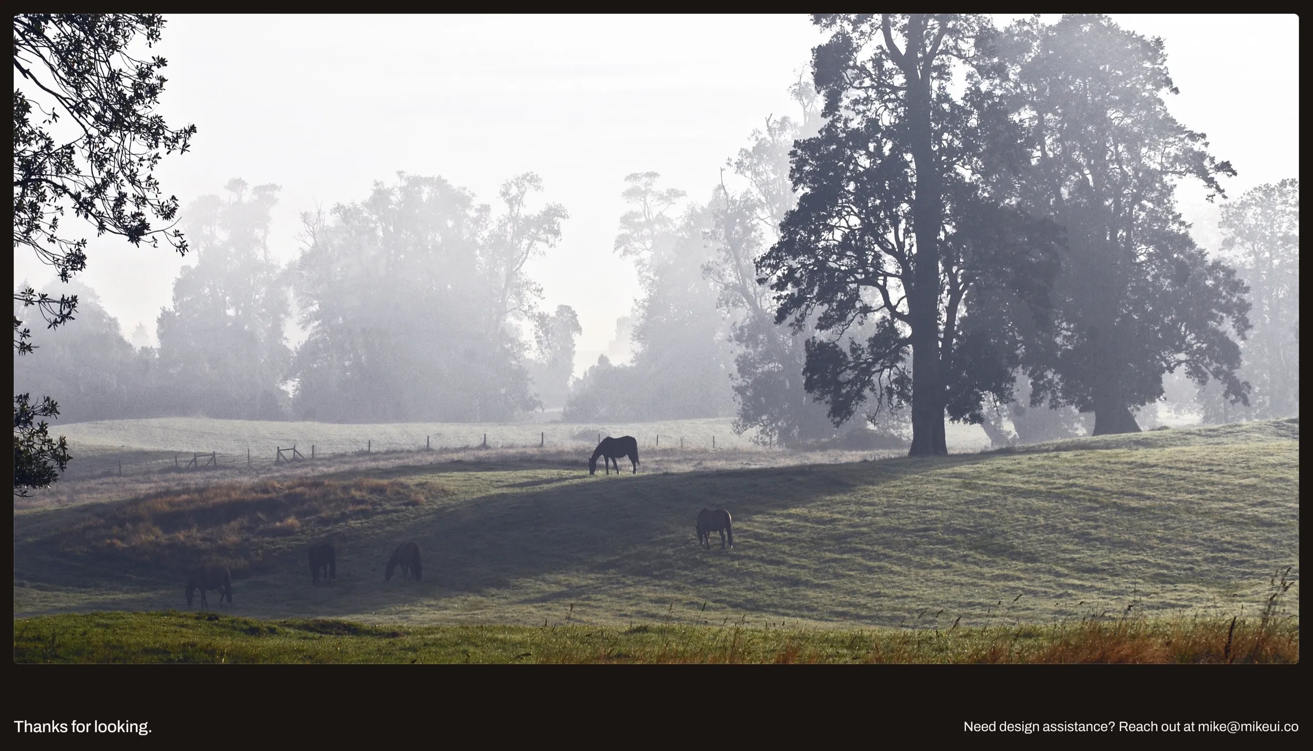 Horses grazing in a misty field, closing the case study with Mike's contact email