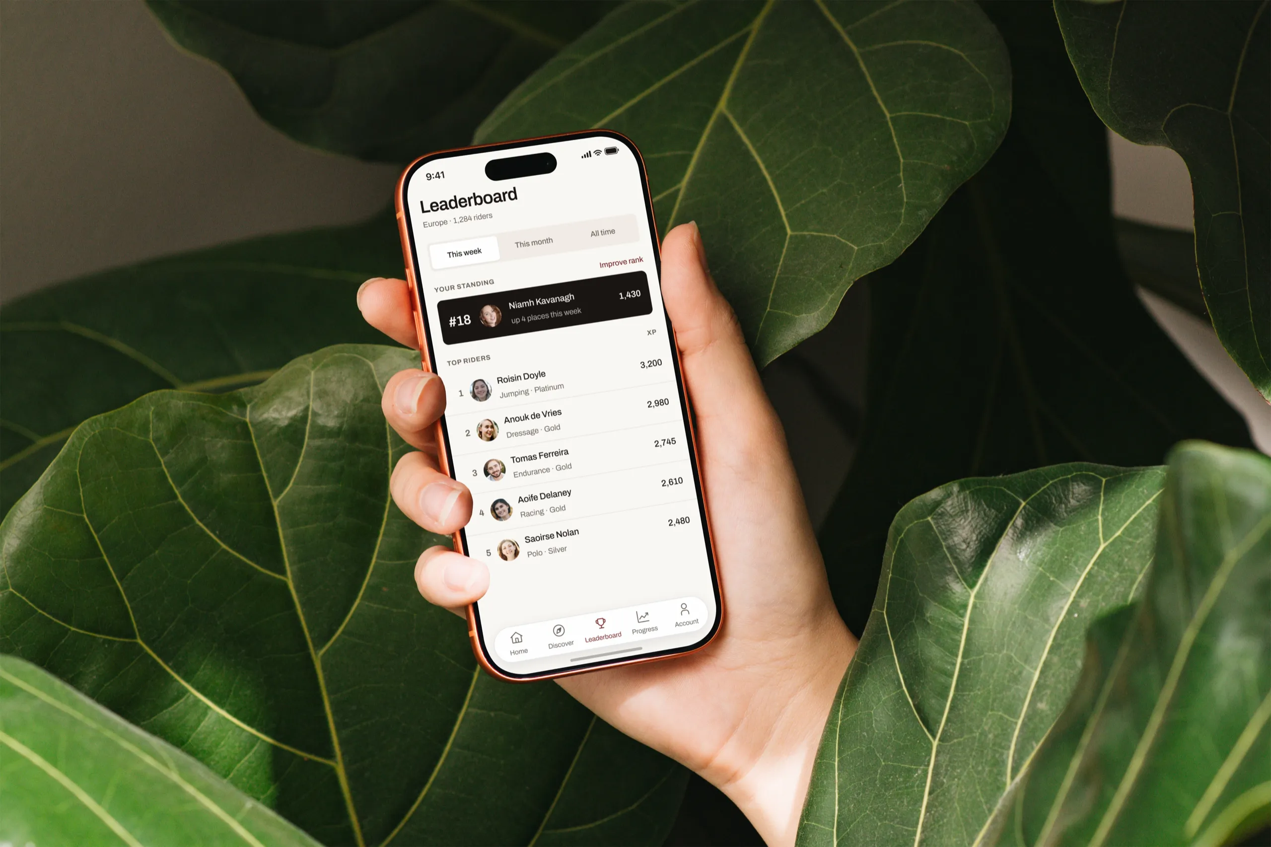 The Bridlepath leaderboard on an iPhone held against fiddle-leaf fig leaves