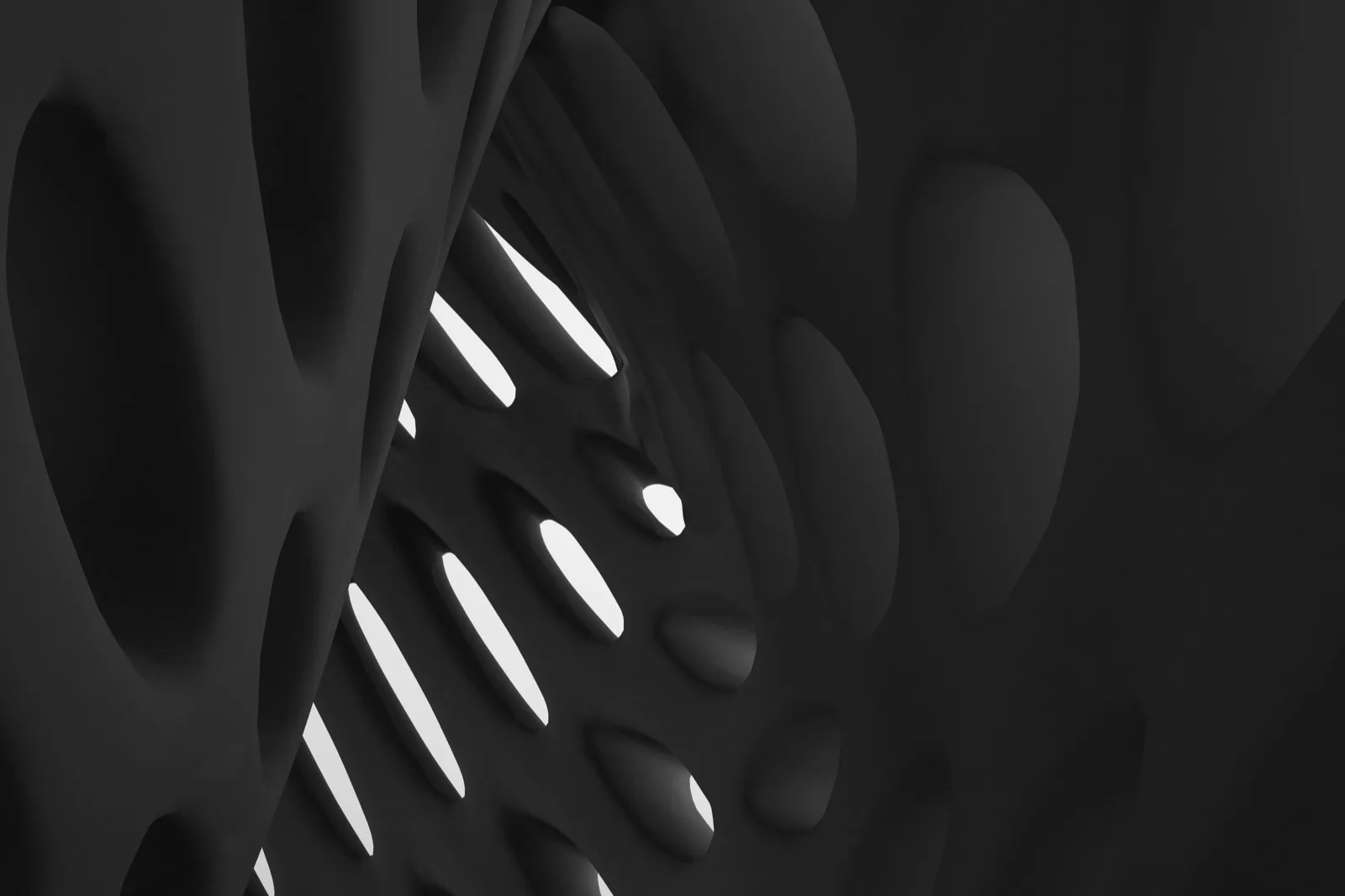 Black biomorphic abstract form